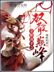 全职高手之双散巅峰全职高手之双散巅峰