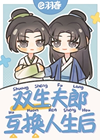 双生夫郎互换人生后双生夫郎互换人生后
